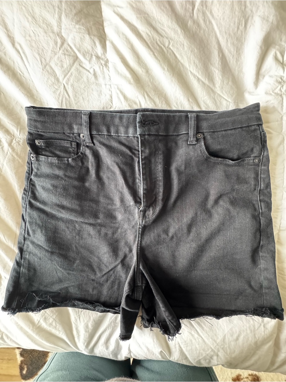 American eagle plus size 16 Denim Cutoff Shorts